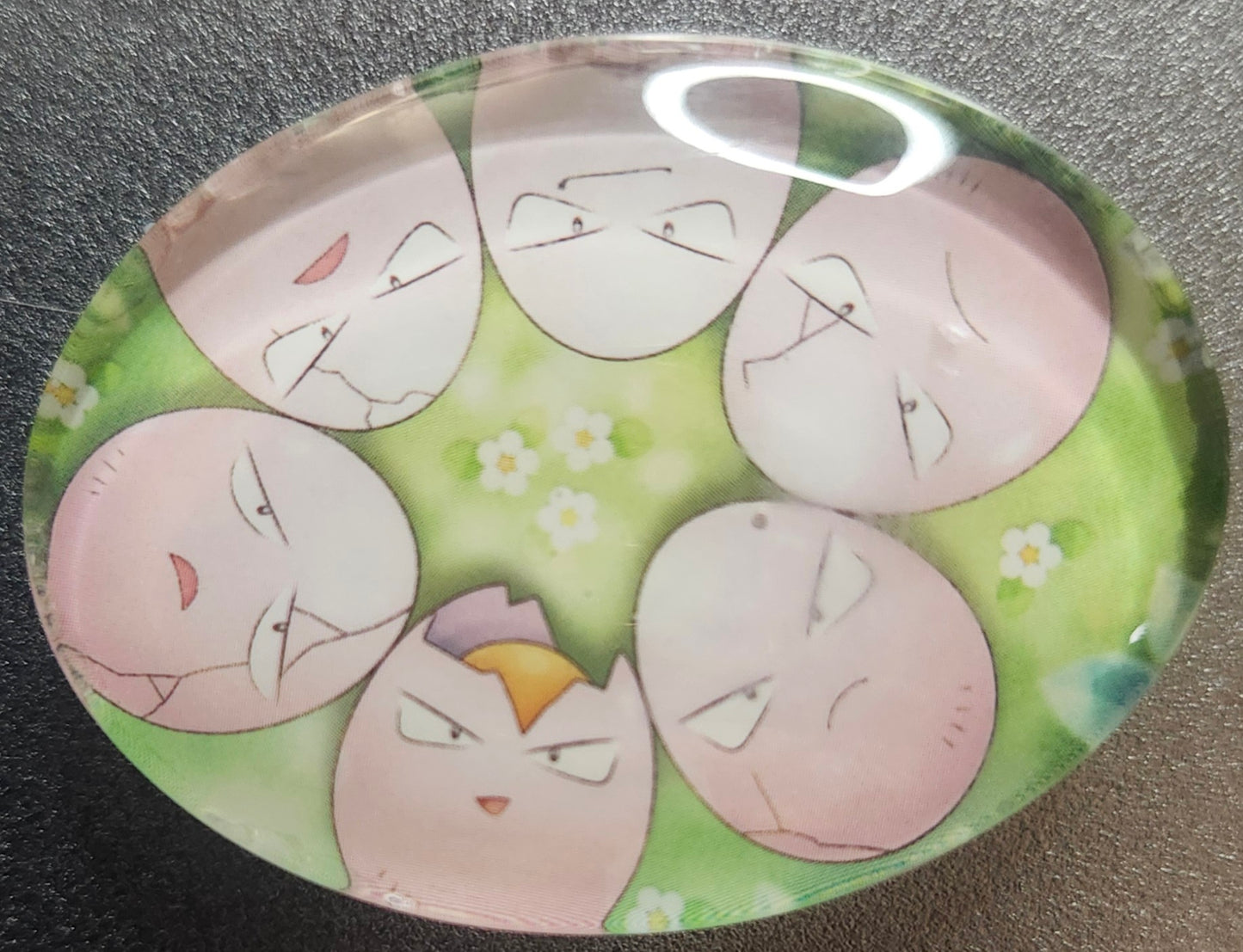 Oval Pokemon theme Magnets