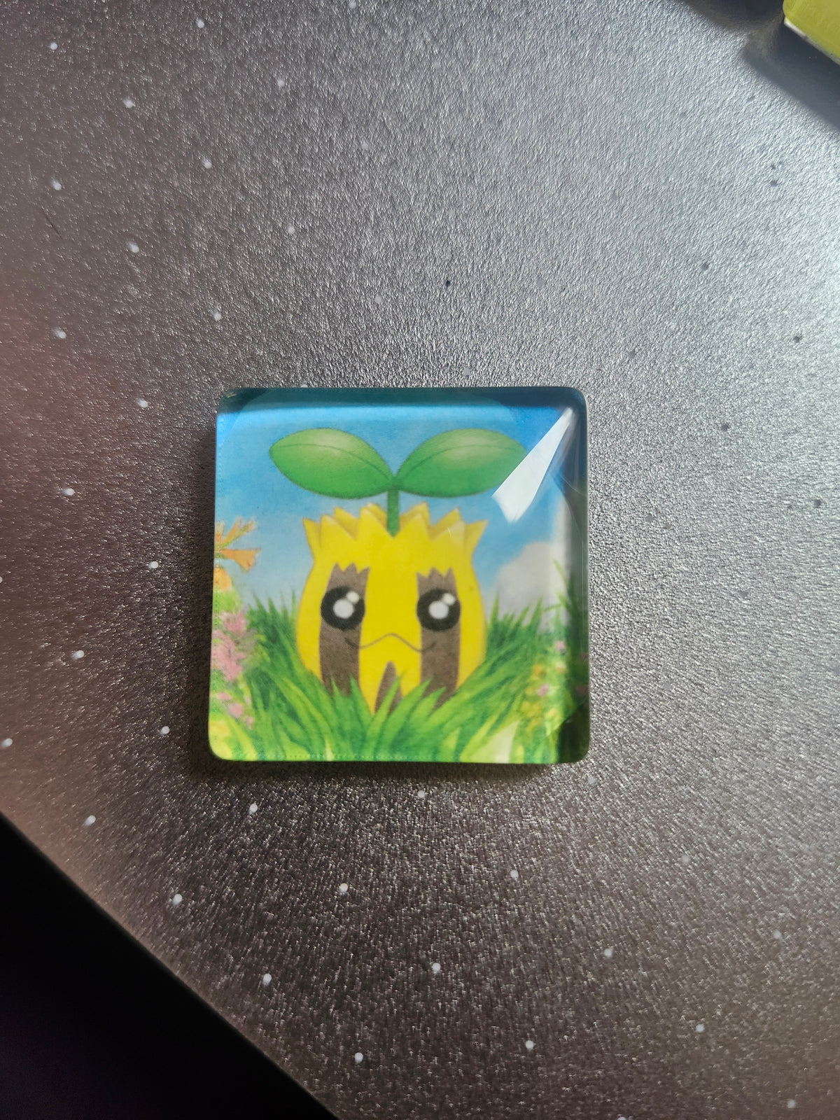 1" Themed Pokémon Magnets