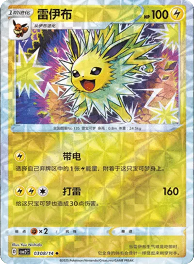 Pokemon - Jolteon (Rotary Pattern) (CN) Gem 2 #0308