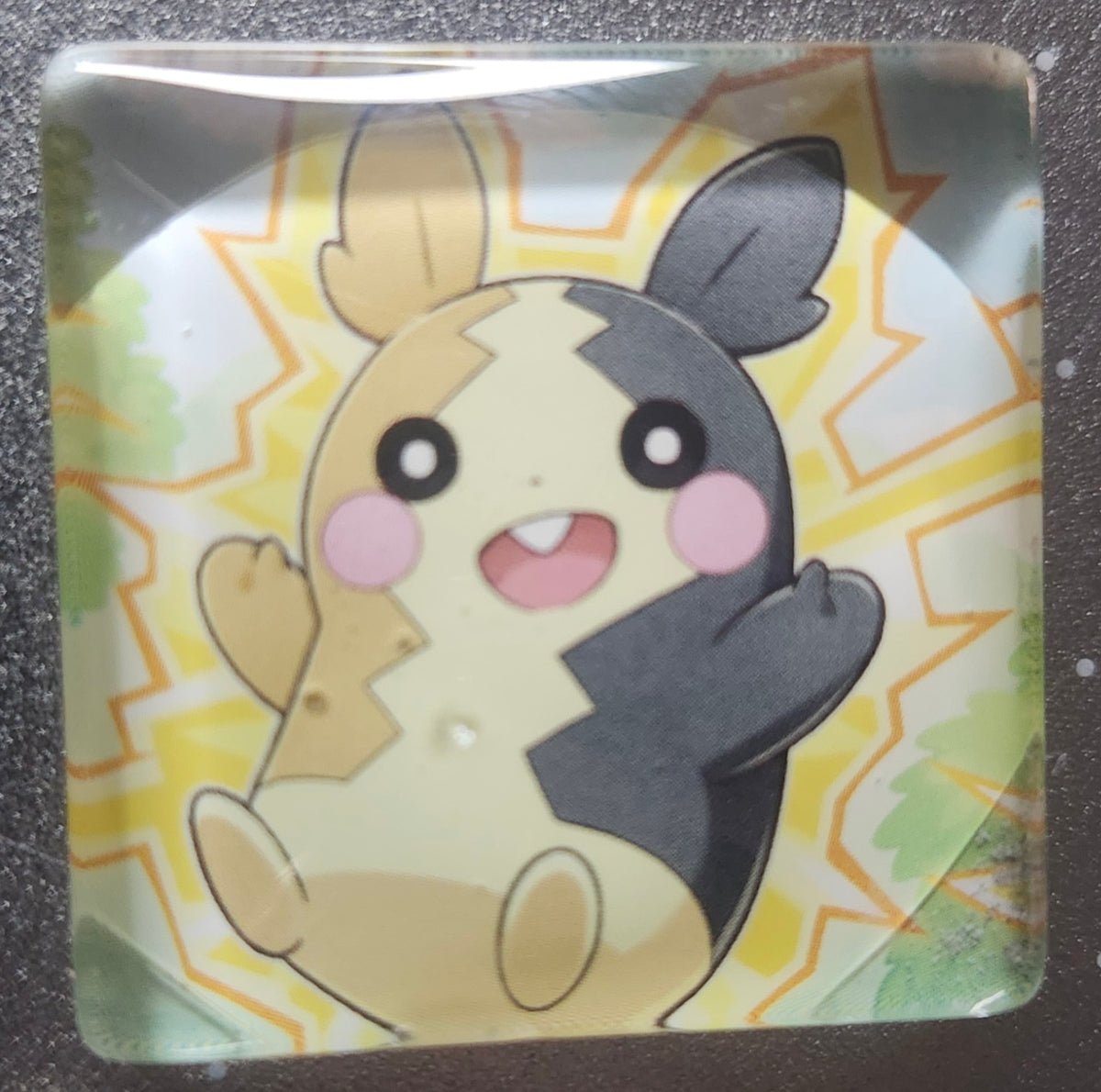 1" Themed Pokémon Magnets